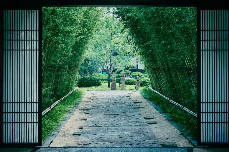 Rooted Before You Rise: Why Japanese Anchoring Beats the Resolution Trap